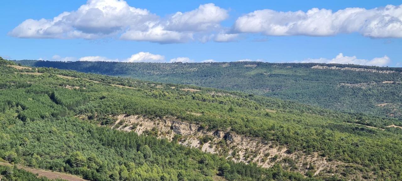 Hebergements Insolites - Detente En Luberon Viens Екстериор снимка