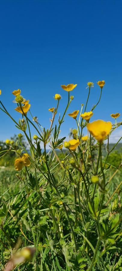 Hebergements Insolites - Detente En Luberon Viens Екстериор снимка