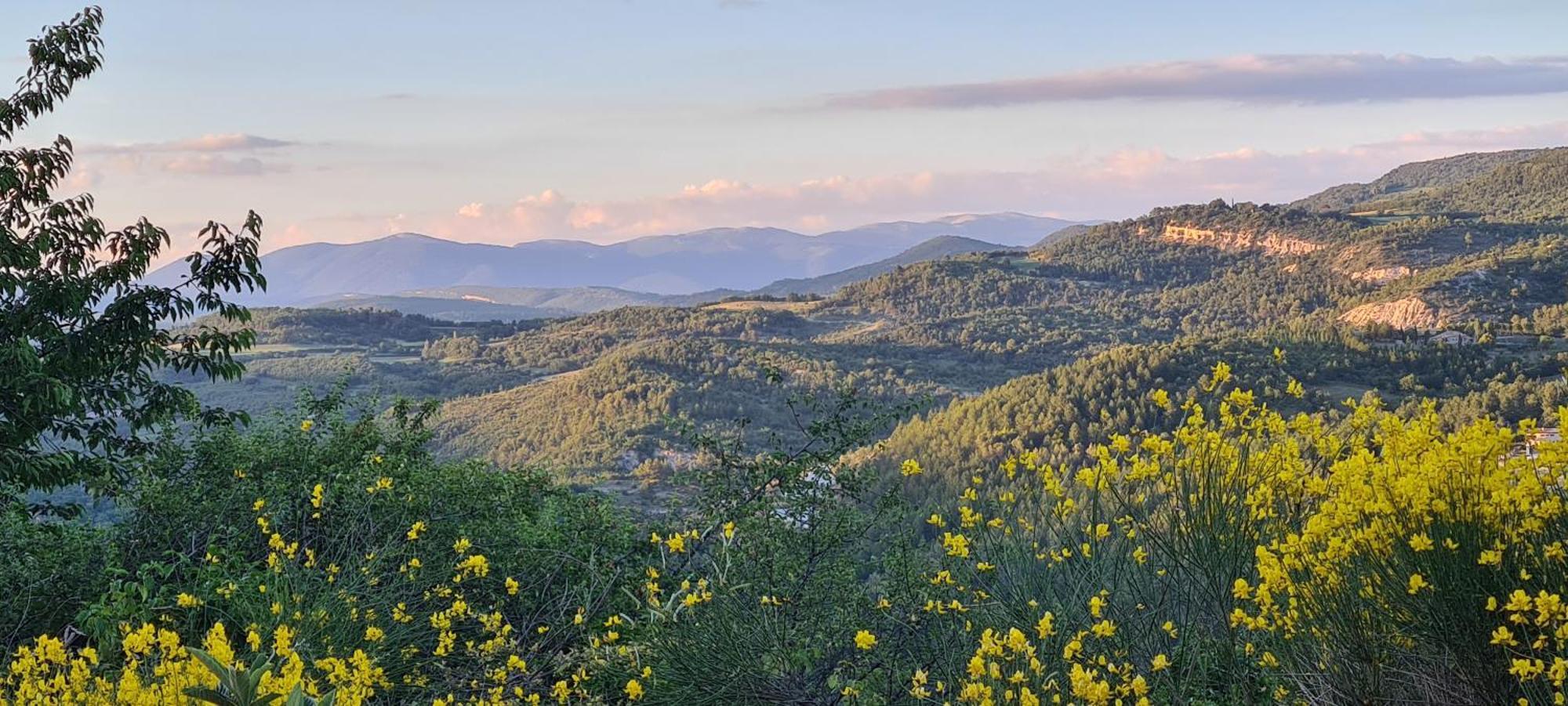 Hebergements Insolites - Detente En Luberon Viens Екстериор снимка